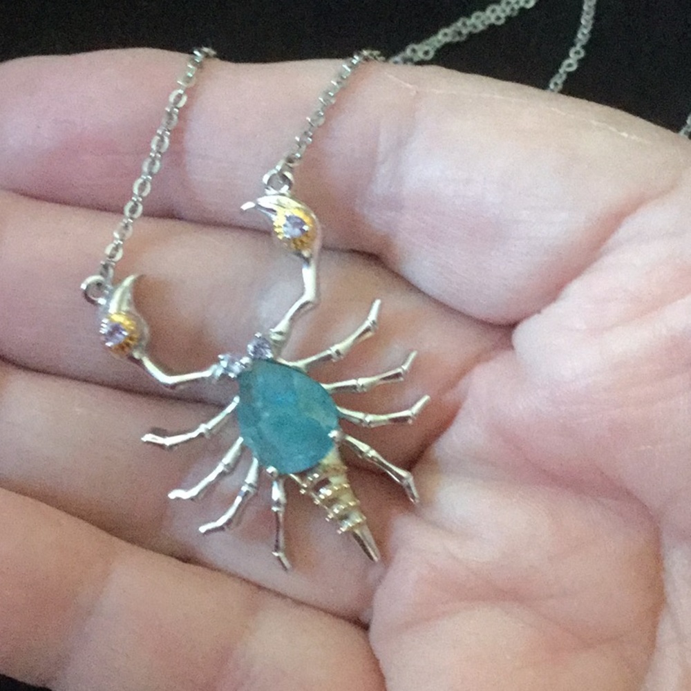 Exquisite Genuine Fluorite & Tanzanite Scorpion - Picture 5 of 8